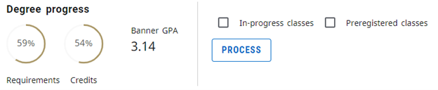 A Degree Progress card featuring trackable percent gauges for requirements and credits, along with the Banner GPA. Two checkboxes for in-progress and preregistered classes are displayed, with none of the two boxes selected. A Process button is located underneath.